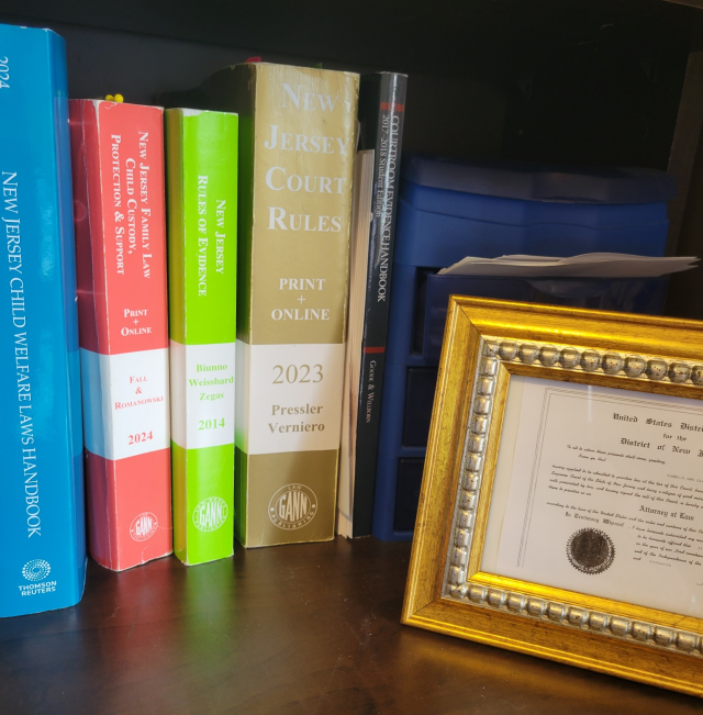 image-1003206-law_books-9bf31.w640.png