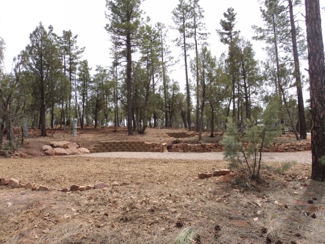 Show Low Campground