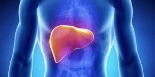 image-607874-liver.jpg